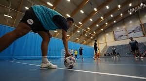 英格拉姆29+9约翰逊30+7+9 猛龙主场轻取老鹰